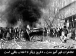 image (11)